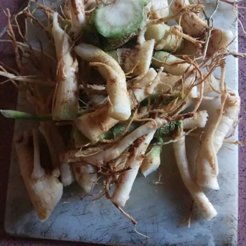 

Akar pepaya segar langsung ambil dari kebun per 1kg