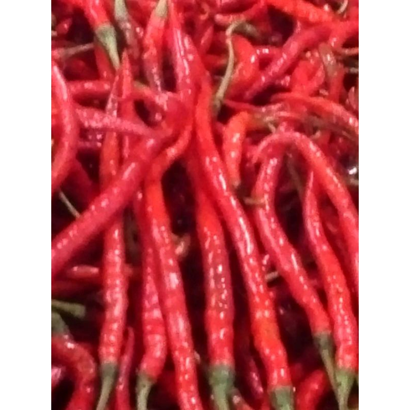 

CABE MERAH KERITING 500g