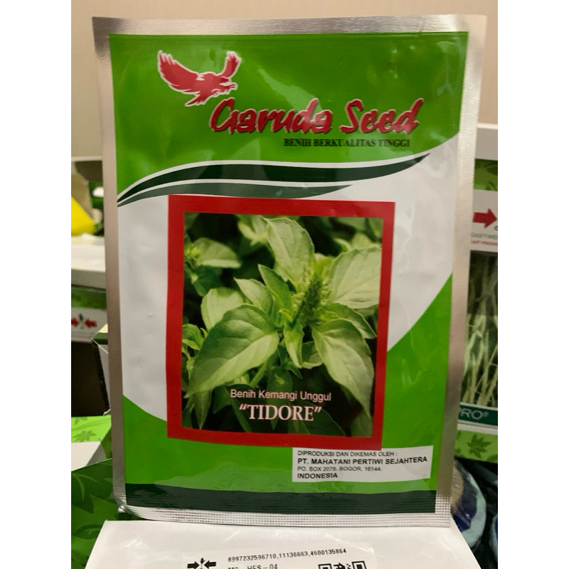 Benih kemangi TIDORE 5 gram kemangi unggul dari garuda seed