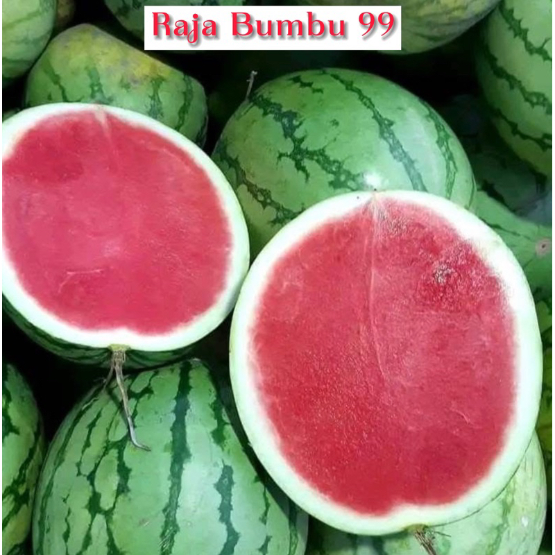 

Semangka 1 BUAH