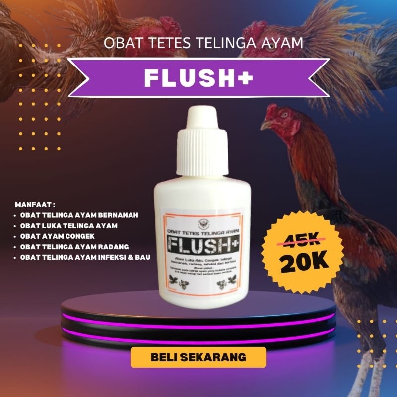 FLUSH+ obat ayam sakit telinga mengatasi luka terkena jalu & infeksi bernanah