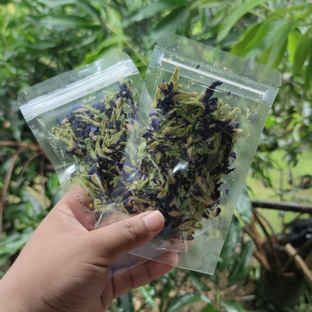 

Bunga Telang Kering 10 gram - Teh Telang Kering Premium