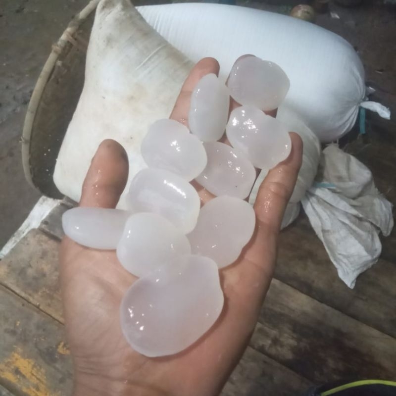 

KolangKaling/Cangkaleng Super Segar 1KG