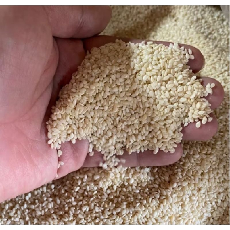 

wijen putih mentah1kg/wijen putih sangrai 1kg