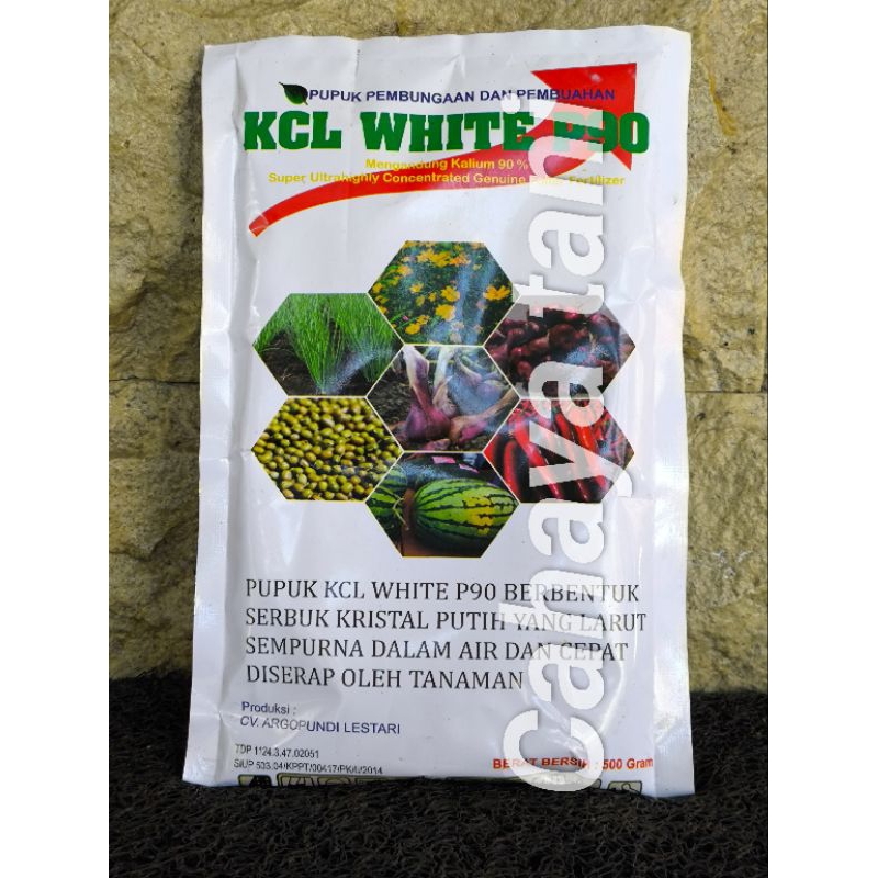 Pupuk KCL White P90 500gram
