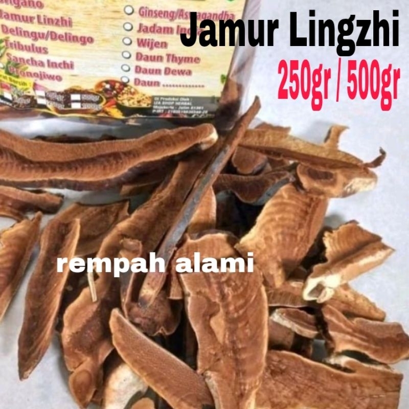 

Jamur Lingzhi iris kering 250/500gr