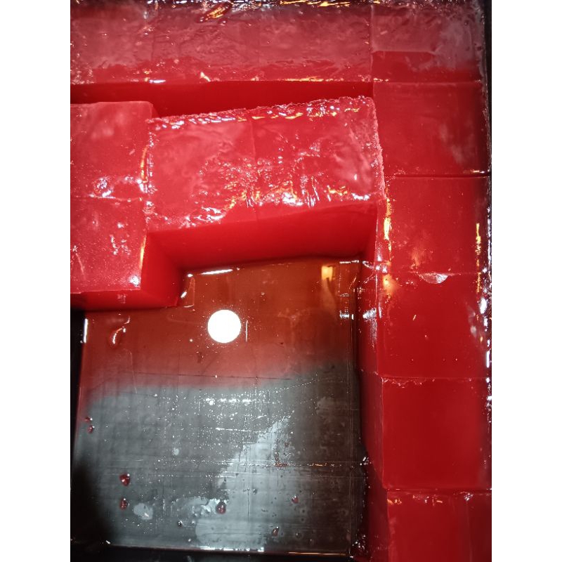 

cincau merah 1pcs