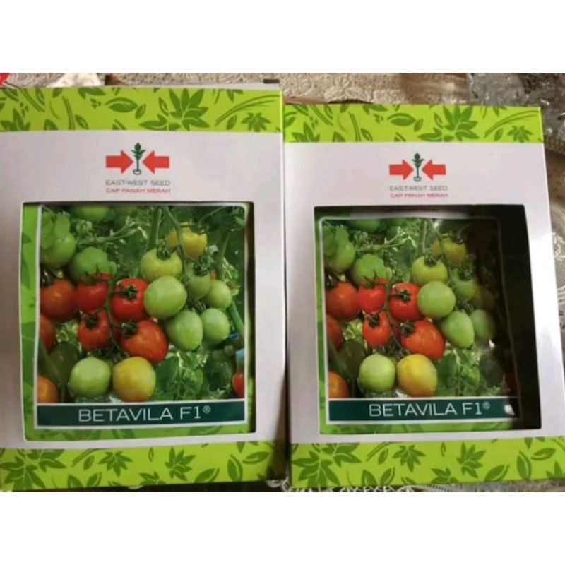 benih tomat betavila f1 10 gram