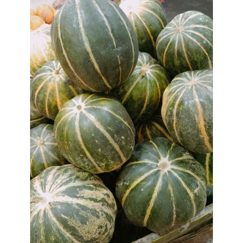 

Beliwah madu (1 buah)