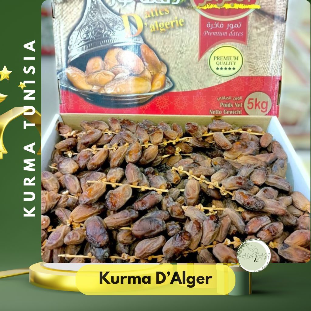 

Kurma Tangkai Tunisia Alger Dates 5 KG – Kurma Madu Premium