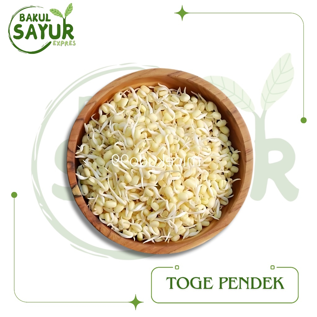 

Toge Kecambah Pendek Segar 100gr - 250gr