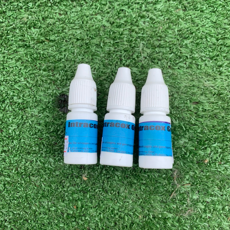 intracox oral obat diare lendir hewan