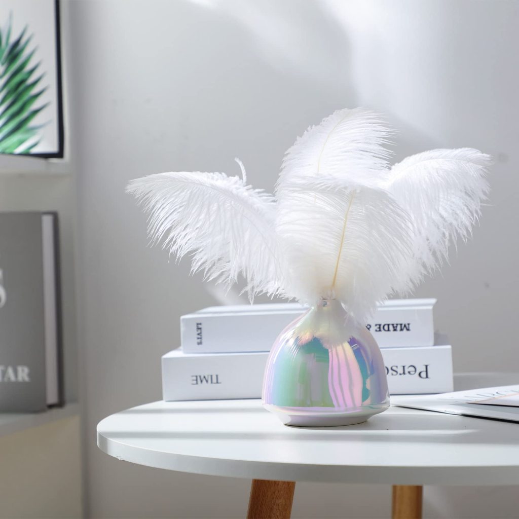 RB3 Bulu Ostrich 5pcs Replika Bulu Dekorasi Bulu Kemucing Hiasan Kepala Karnaval Ostrich Feather