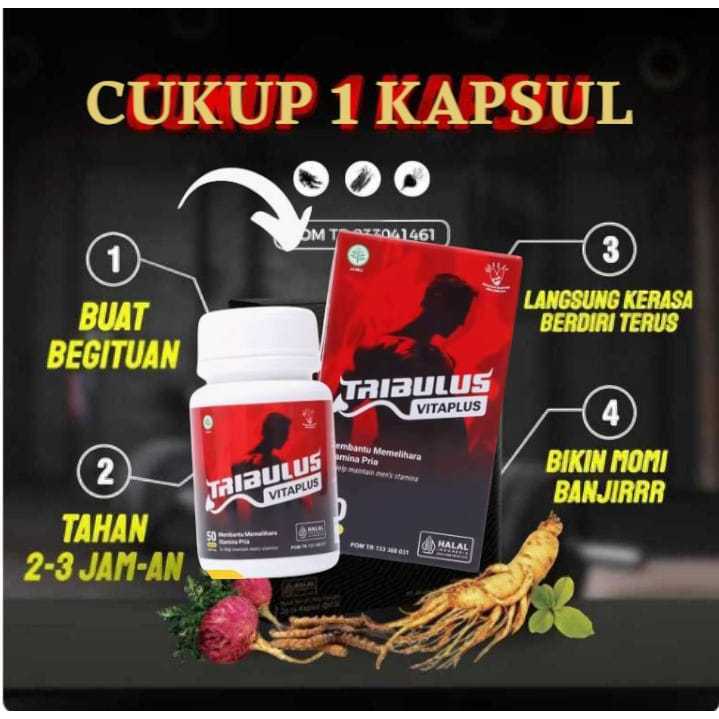 TRIBULUS VITAPLUS Membantu Meningkatkan Hormon Testosteron Pria Original Bpom