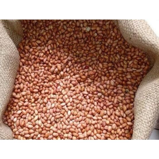 

RB Kacang Tanah TJ80\90 Kemasan 1KG
