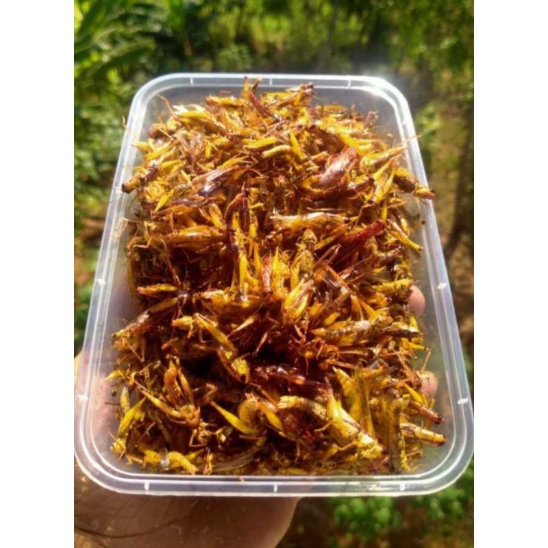 

bGF Belalang Goreng Utes Kemasan 750ml Orinal