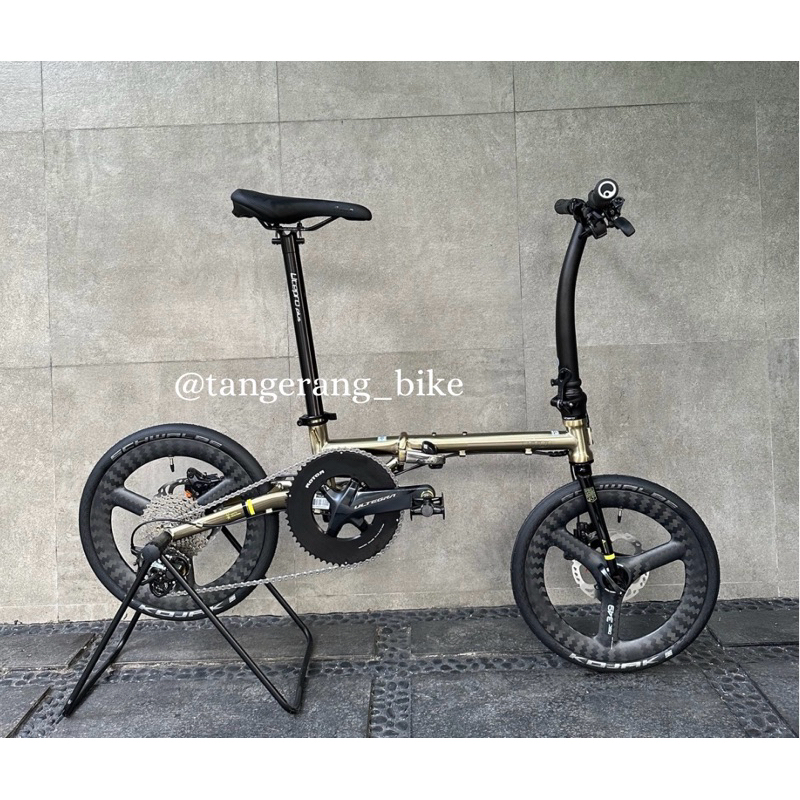 Sepeda Fnhon Gust 16 Inch Discbrake Inner cable Ultegra Rotor