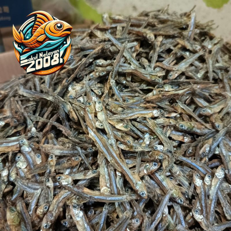 

Teri tawar hitam | ikan teri tawar