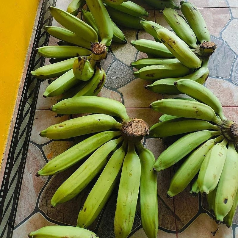 

Ready pisang nangka mentah 1kg pisang kiripik