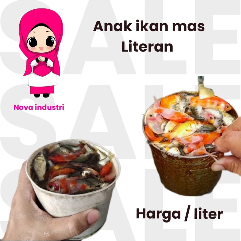 anak ikan mas pakan ikan predator 1liter
