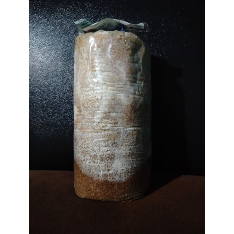 

Baglog Jamur Tiram Siap Panen (Paket 1000 Baglog)