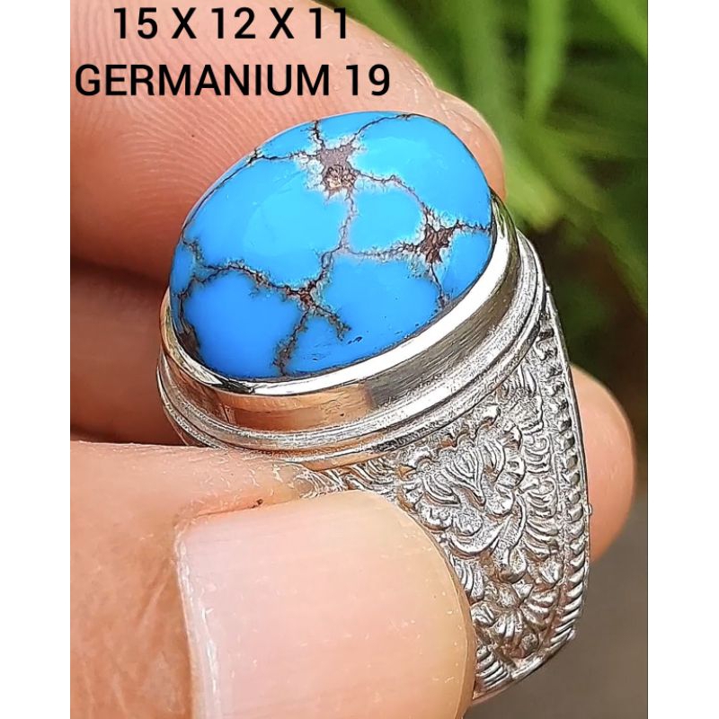 pirus mesir lawasan jenong 6