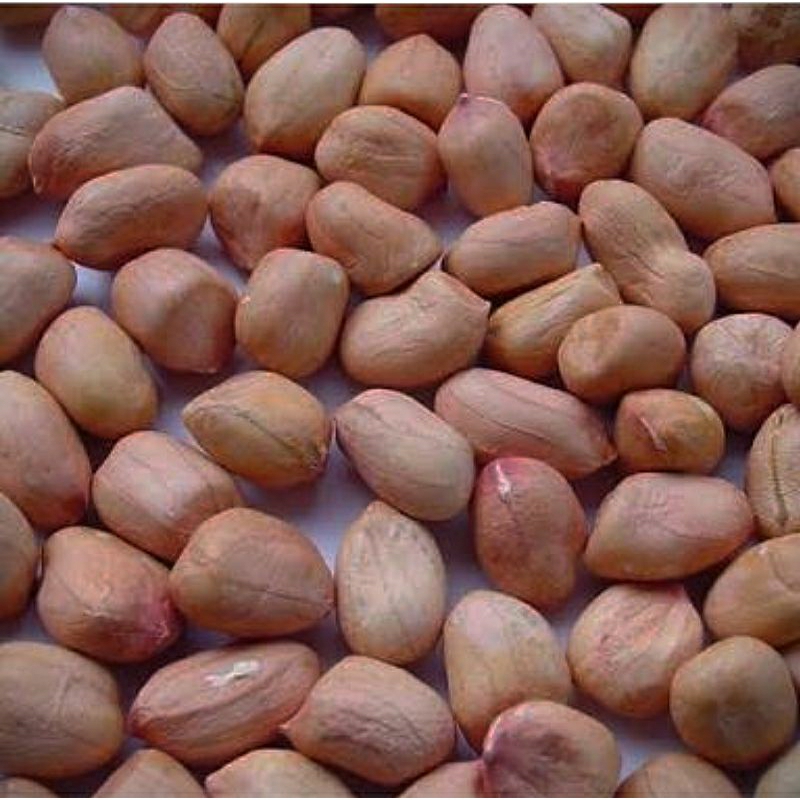 

kacang tanah kupas mentah/kacang lokal/