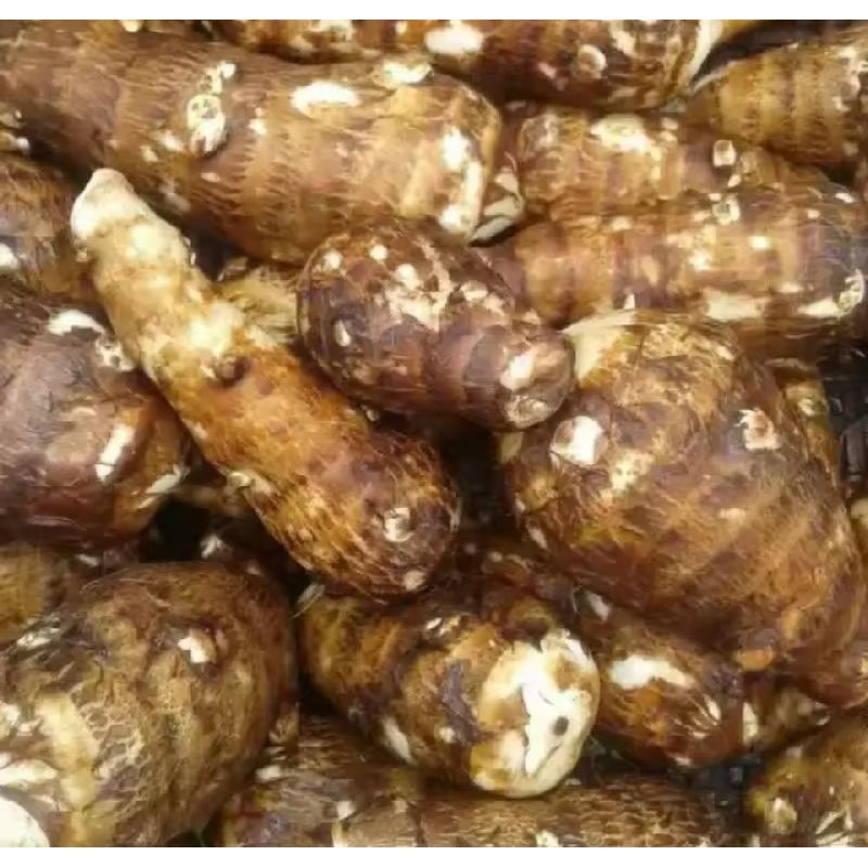 

TALAS SEGAR 1 KG SUPER PULEN