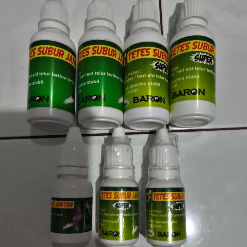 Merpati Tetes subur jantan tetes subur jantan super