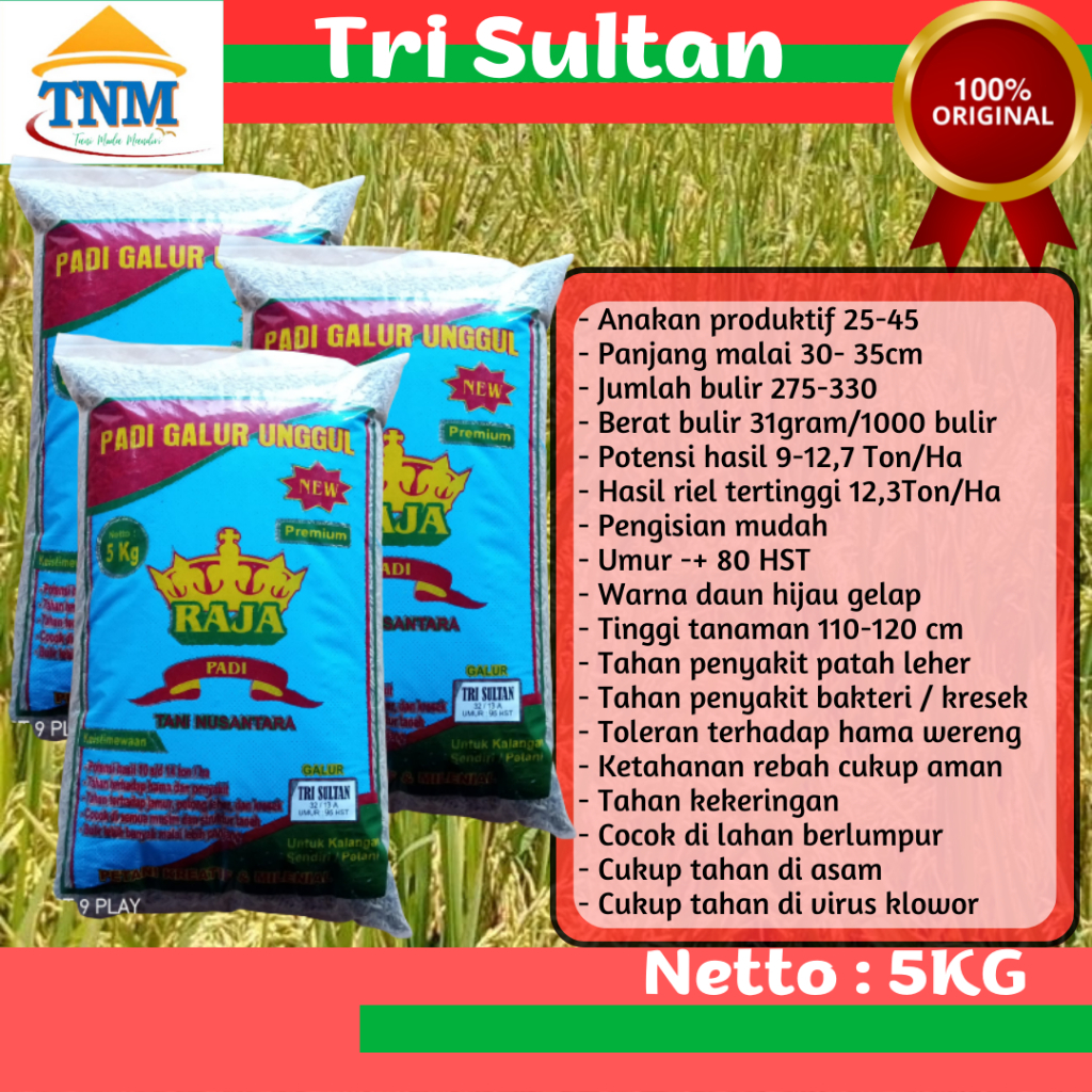 Biji Padi Unggul Tri Sultan Kemasan 5KG