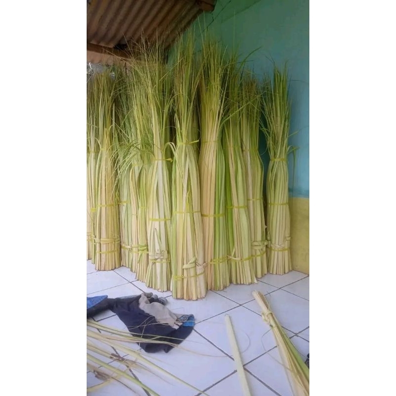 

Daun Kelapa Berkualitas untuk Bungkus Ketupat