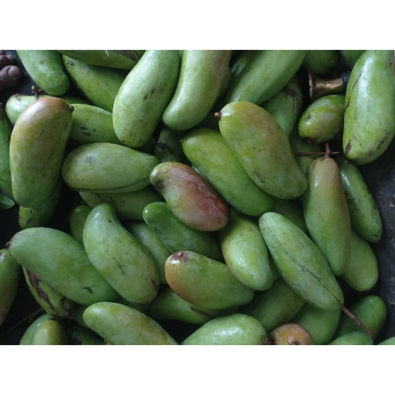 mangga muda golek,1kg asam poll