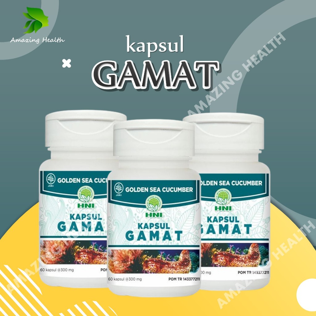 HNI Kapsul Gamat Atasi Nyeri Sendi Original