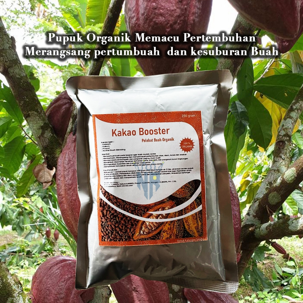 Pupuk Organik Pelebat Booster Kakao Perangsang Buah Kakao , Pupuk Pelebat Buah Kakao berkualitas Nut