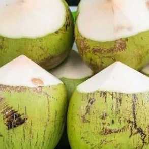

Air Kelapa Muda Murni 1 pcs