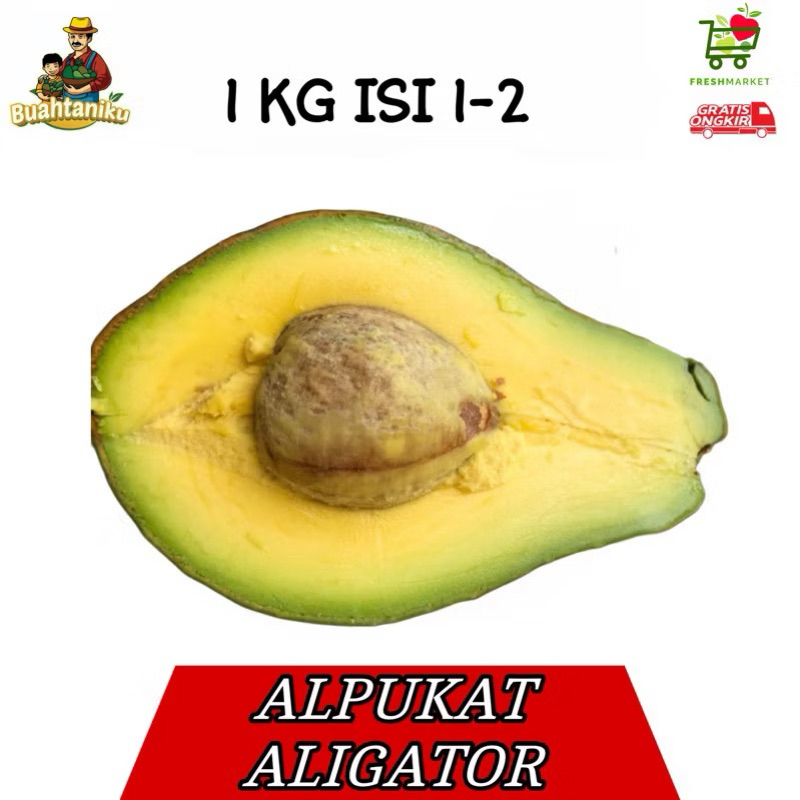 

Alpukat mentega ALIGATOR [1Kg 2pcs]