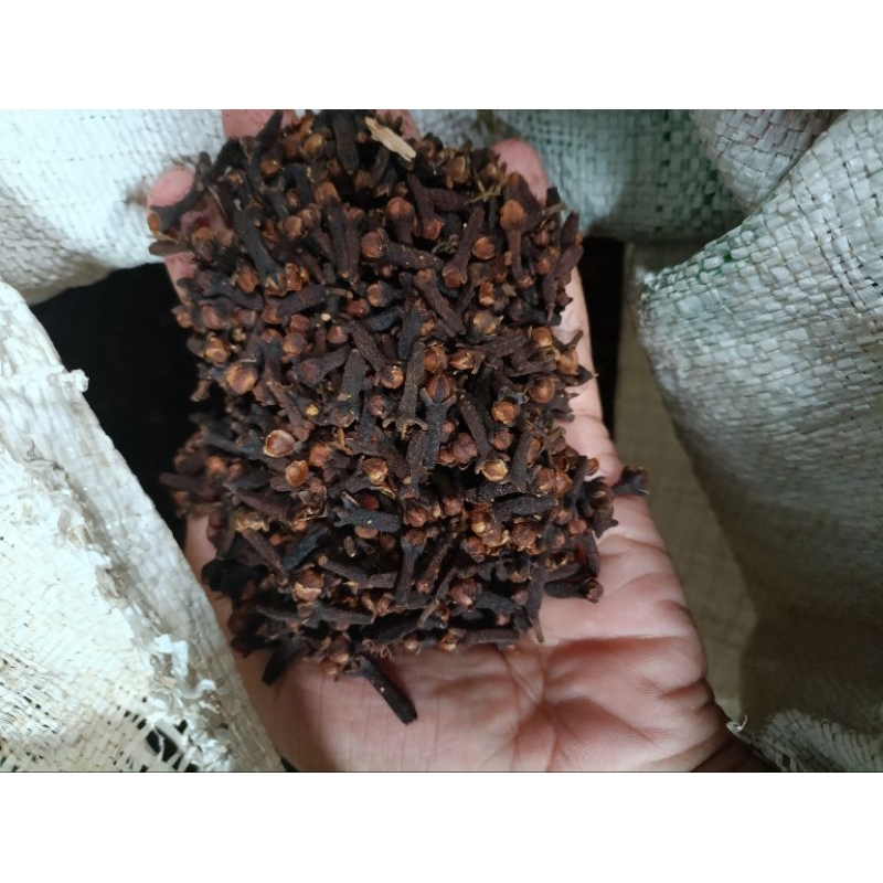

Cengkeh Kering asli 100 gram untuk bumbu masak (rempah rempah)