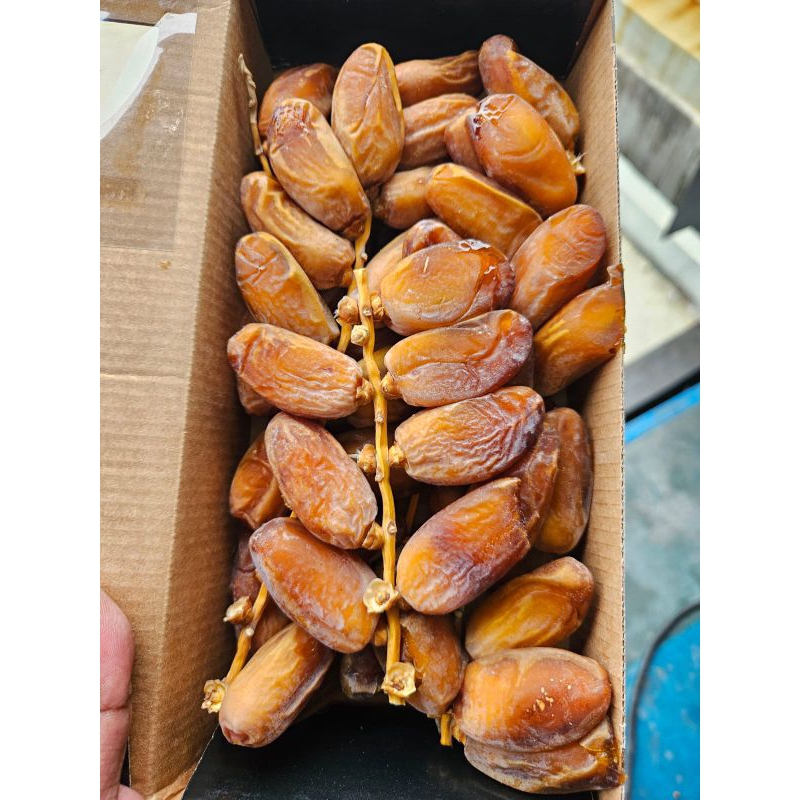 

AFGC Kurma Tangkai Tunisia Palm Fruit Palm gr