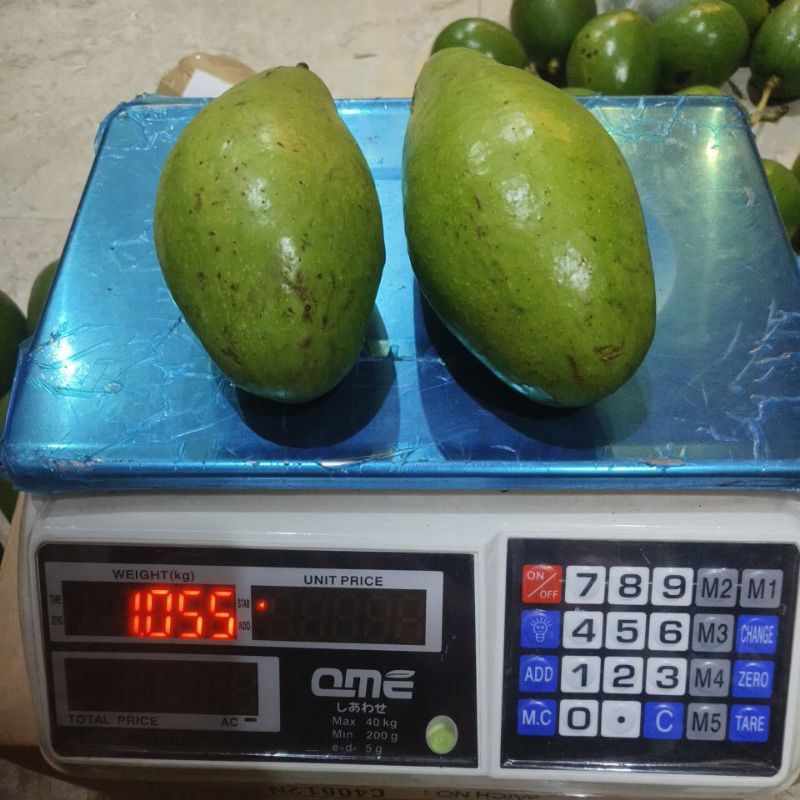 

alpukat siger, spek pasar sekilo isi 2