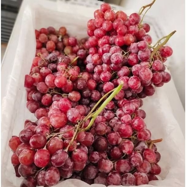 ANGGUR RED GLOBE 1 KERANJANG 6kg