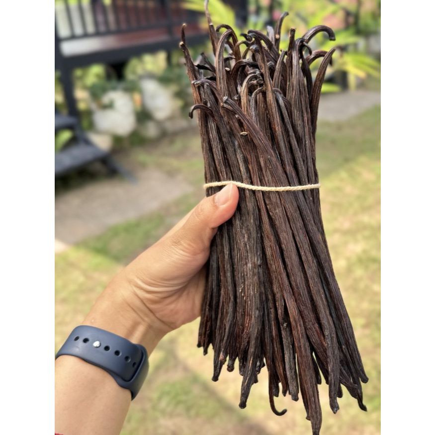 

Vanilla Planifolia Grade B , organic 100%