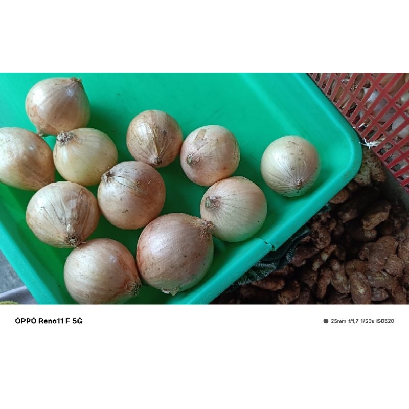 

bawang bombay