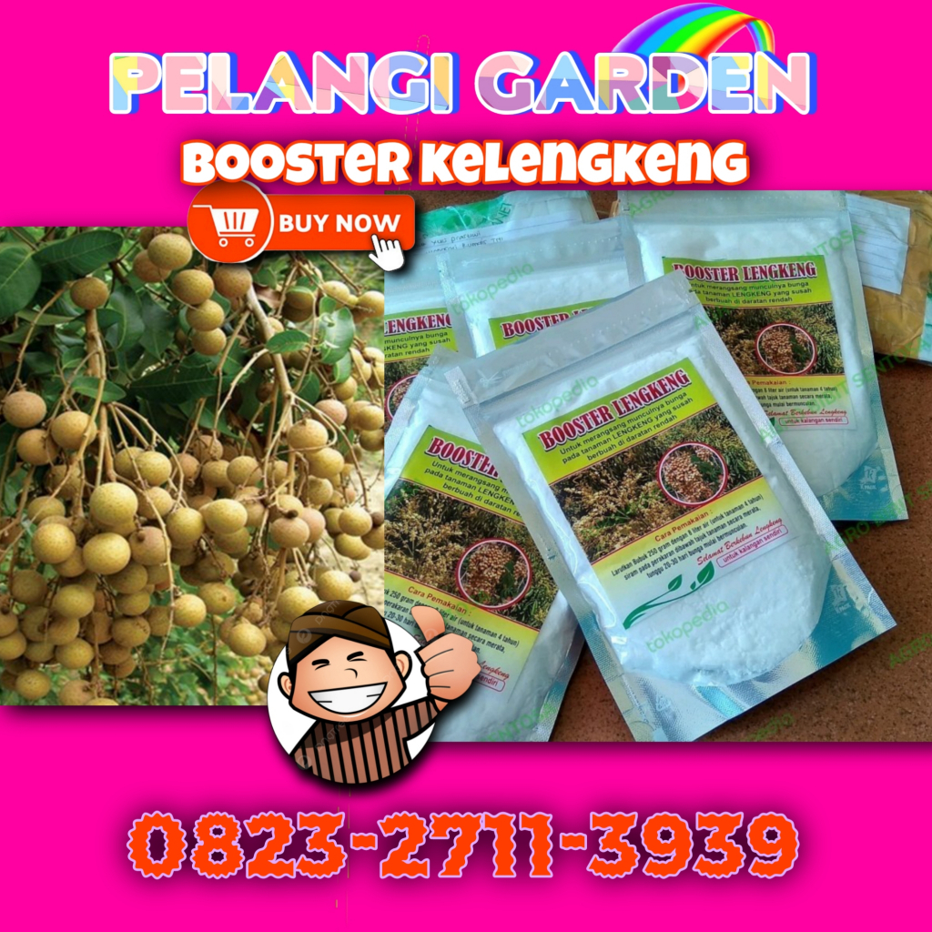 Booster Kelengkeng Nusantara, Booster Kelengkeng Nongfeng, Booster Kelengkeng New Kristal Cangkok, B
