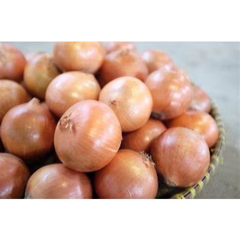 

Bawang Bombay Uk 50-60 Kemasan 500GR