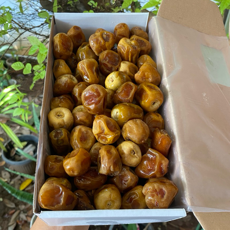 

Kurma Sukkari Sukari Malaki Al Qassim grade A 1 kg