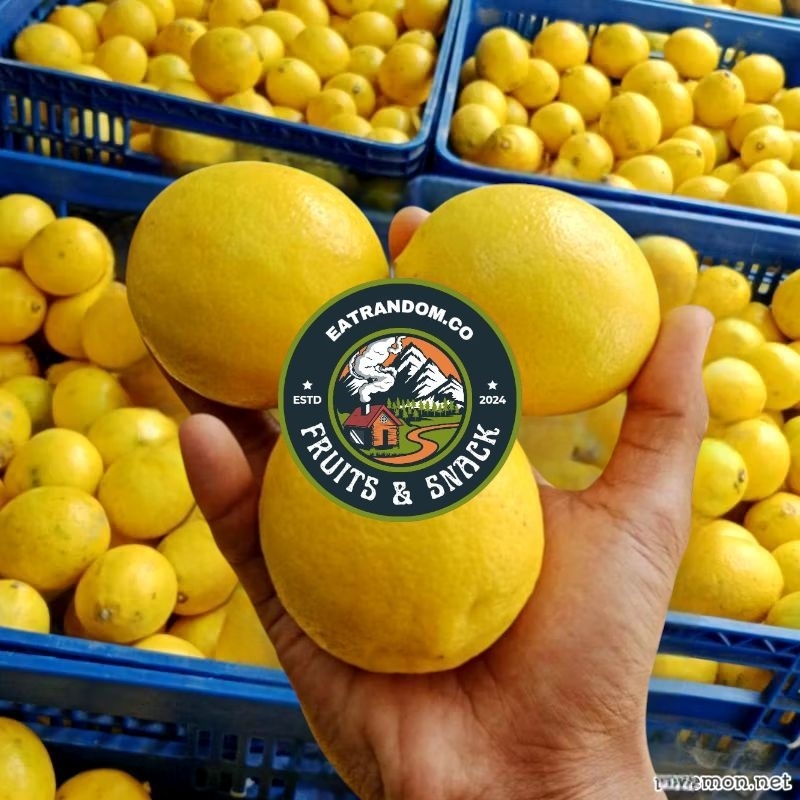 

Suur Lemoen Jeruk Lemon California | petik dari kebun 1kg/500gr
