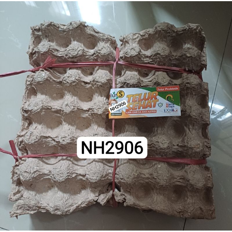 

TELUR PROBIOTIK TELUR SEHAT (S) 1 PIRING SAMARINDA