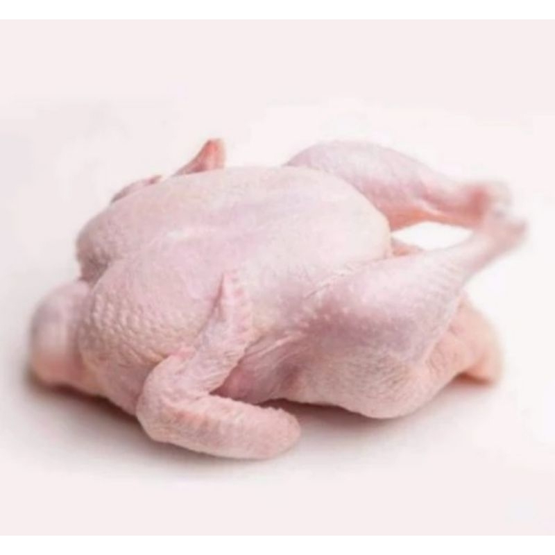 

ayam kampung segar 1 ekor