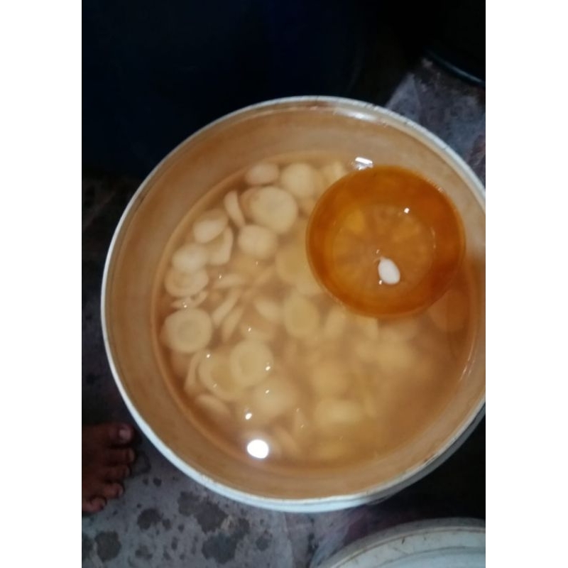 

Aneka asinan buah