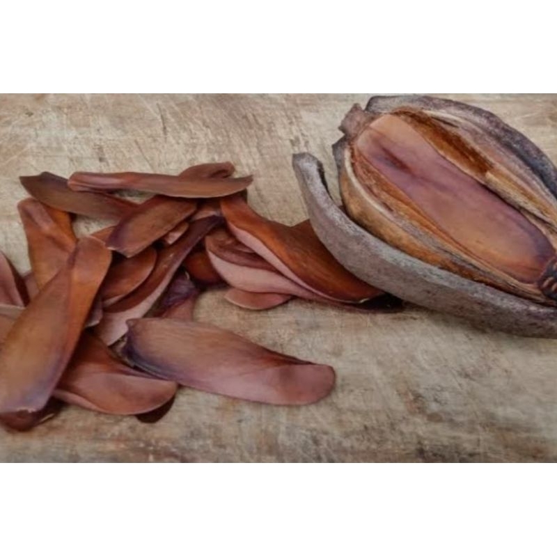 

Biji mahoni / mauni kering premium 500gram